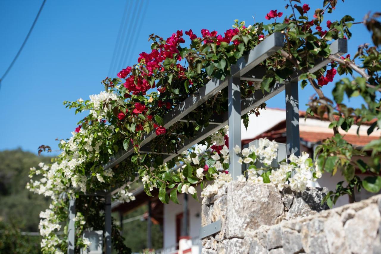 Casa Dell Amore Petrití Екстериор снимка